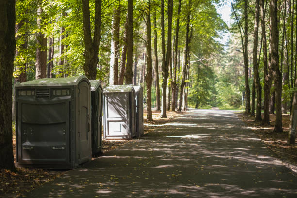 Professional Tree Removal in Glyndon, MN